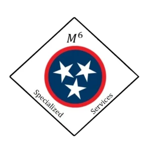 M6 Specialized Services LLC logo